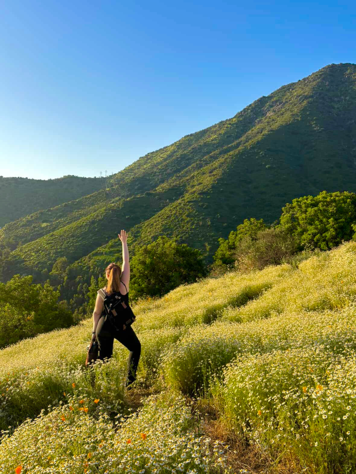 Trekking Cerro El Carbón