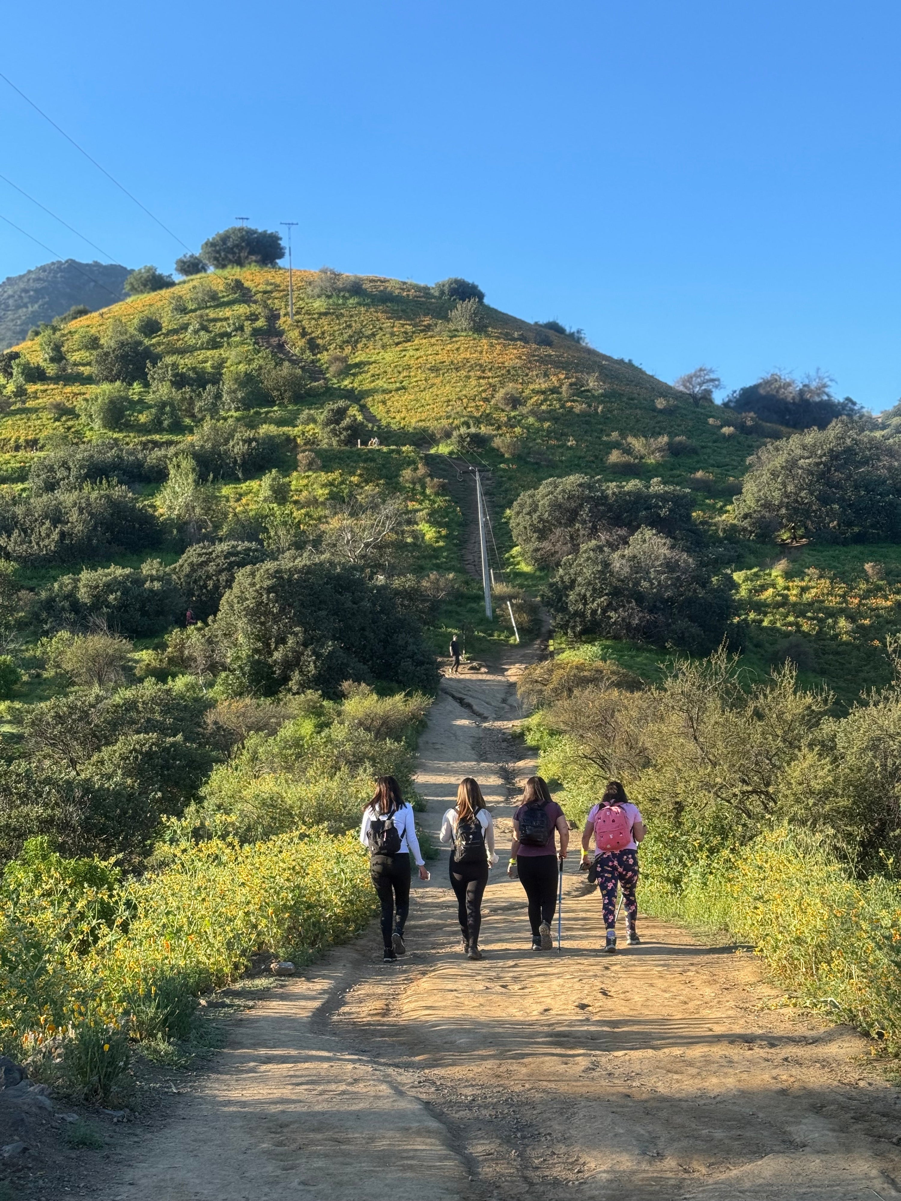 Trekking Cerro El Carbón