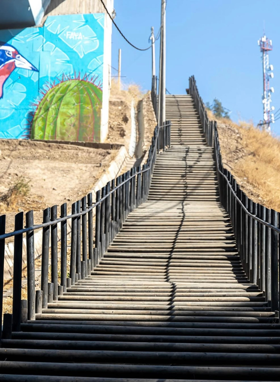 Trekking Cerro El Carbón
